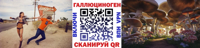 закладки  Кедровый  Галлюциногенные грибы прущие грибы 